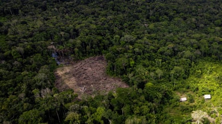 a treeless patch in the colombian amazon