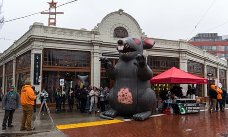 Starbucks employees on strike outside the flagship Capitol Hill cafe location with a giant inflatable rat in December 2022.