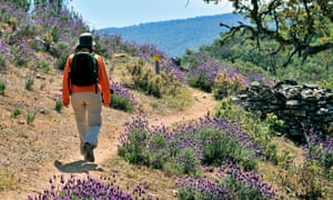 Trekking in Monfragüe, Extremadura, Spain