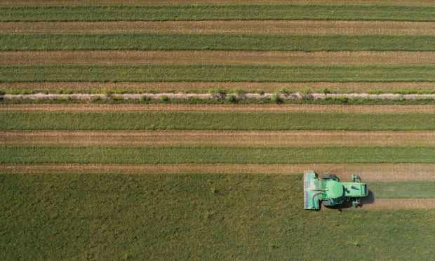 The Imperial Valley’s alfalfa industry is one of the largest consumers of water in a drought-stricken region.