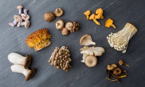 Several types of mushroom