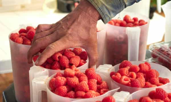 Migrant workers describe exploitative working conditions on fruit farms in Odemira, Portugal.