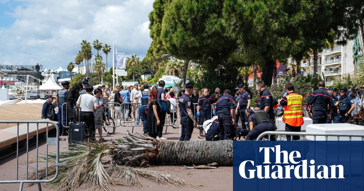 Falling palm trees and a faltering Palme d'Or director: how Cannes 2025 went and who will win