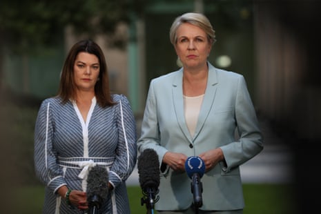 The Minister for the Environment and Water Tanya Plibersek with her Greens counterpart Sarah Hanson-Young at a press conference in the senate courtyard of Parliament House