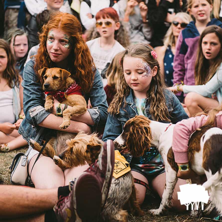 Standon Calling has a pet dogs’ show.