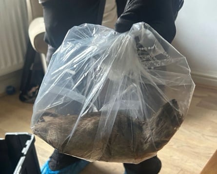Someone holding the 22in dead rat in a see-through plastic bag.