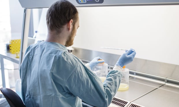A researcher works on a potential Covid-19 vaccine at Copenhagen University