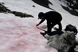 Trentino, Italy. Biagio di Maio, researcher at CNR (National Research Council), takes samples of pink snow on the Presena glacier near Pellizzano