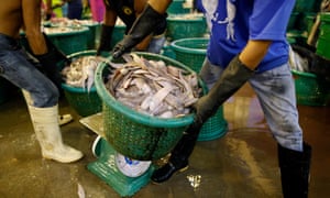 Worker carries basket of seafood