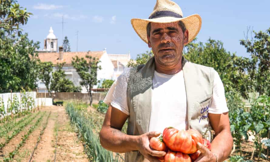 Man with armful of Giant tomatoes freshly picked at Casa Mae