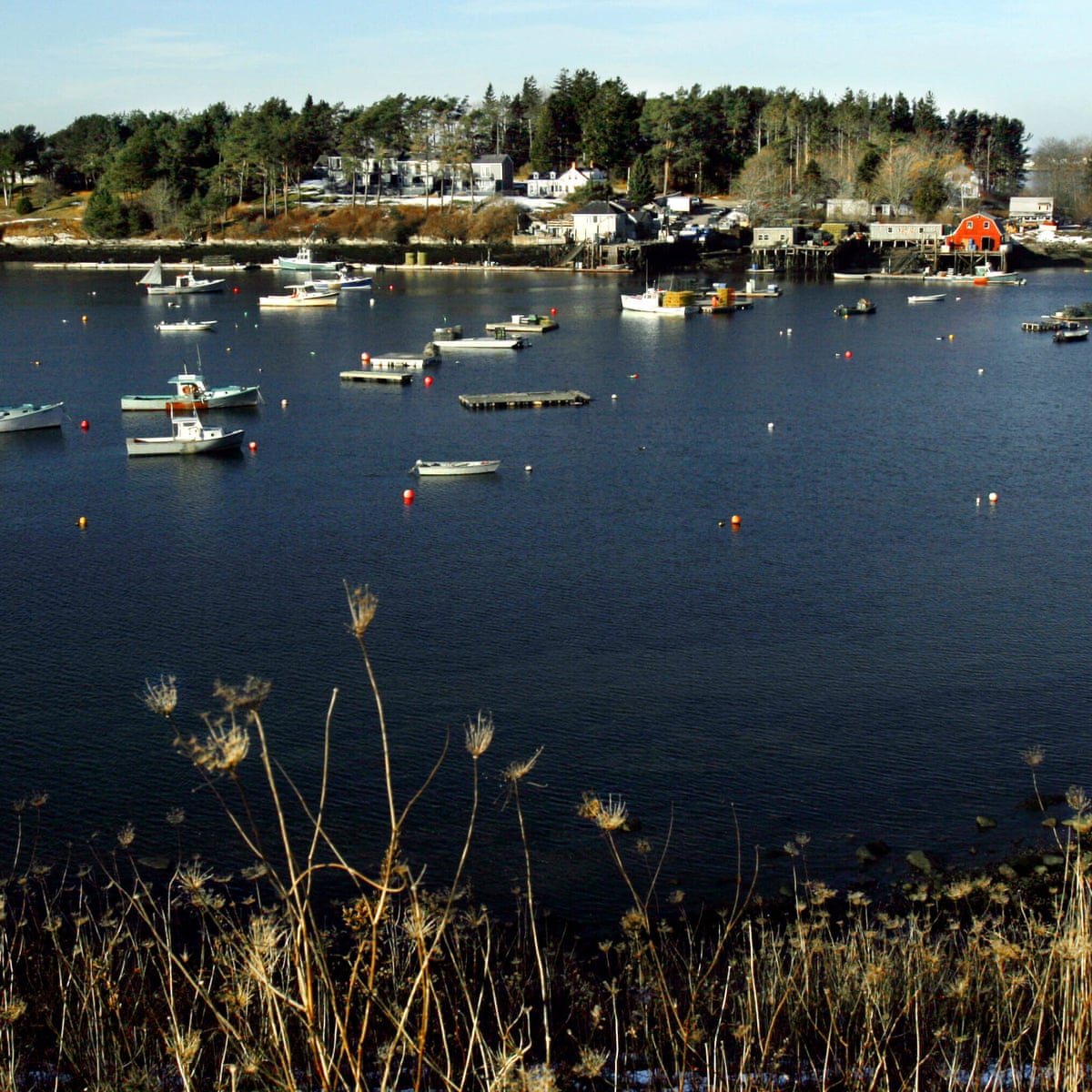 Woman Killed In Apparent Shark Attack Off Maine Coast Us News The Guardian
