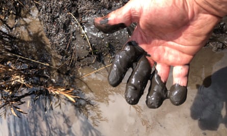 Fisheries manager Luke Pearce saw the water in Mannus Creek turns from green to inky black