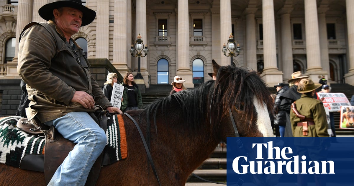 Daniel Andrews defends plan to cull feral horses as protesters rally outside state parliament