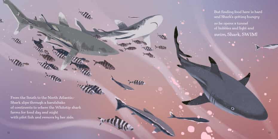 Swim, Shark, Swim! © Dom Conlon, Illustrations © Anastasia Izlesou, published by Graffeg, 2021.