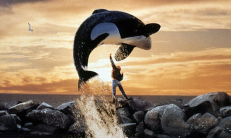 Een orka springt over een jongen aan het einde van de film Free Willy