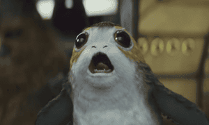 Chewbacca and a Porg in Star Wars: The Last Jedi