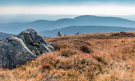 A view from Hexentanzplatz towards the Brocken.