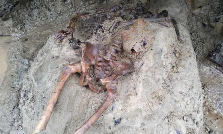 Victims at Herculaneum