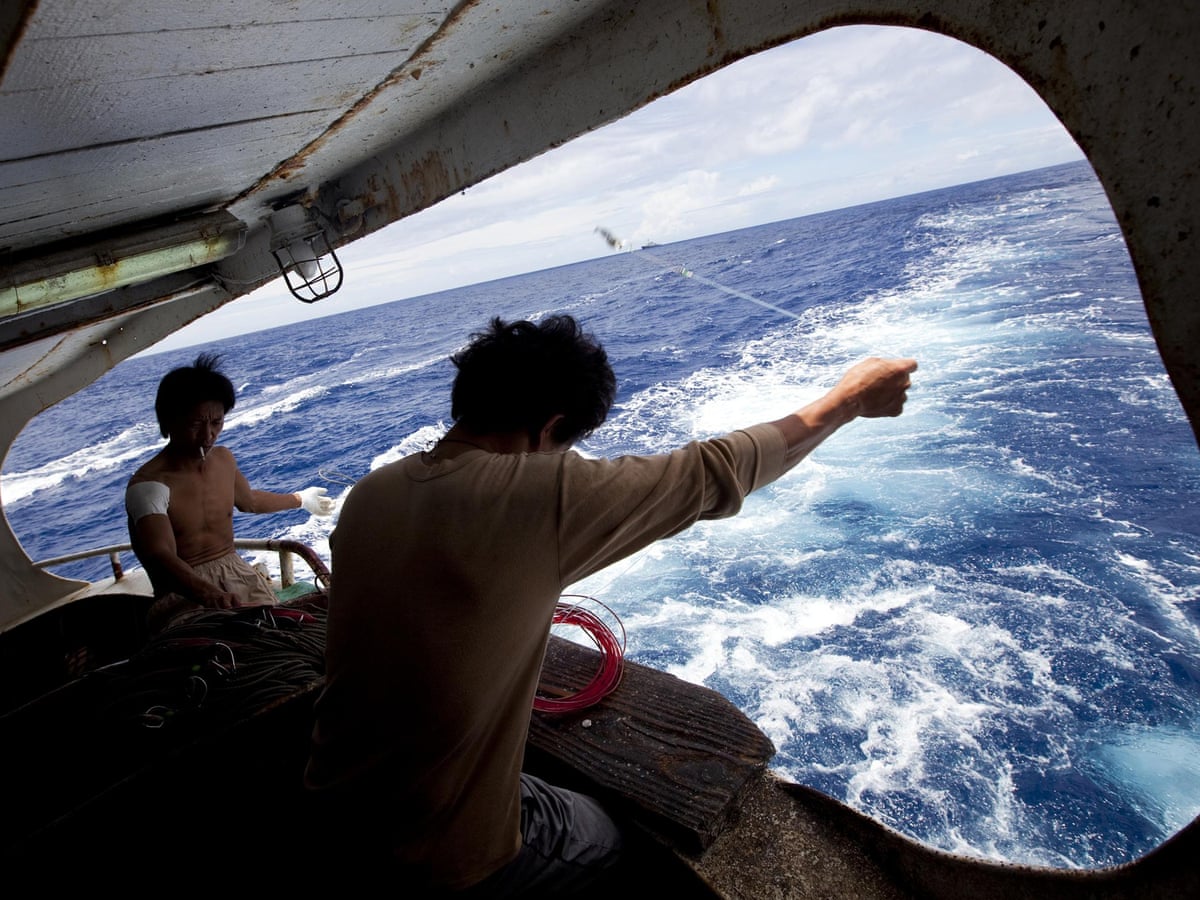 Disappearances Danger And Death What Is Happening To Fishery Observers Fishing The Guardian