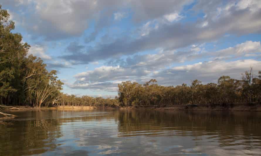 The Murray River near the Margooya Lagoon