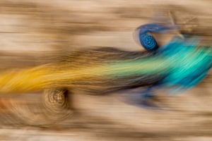 Οι καλύτερες φωτογραφίες από την φύση για το 2021 8 Lizard – chameleon? – moving fast