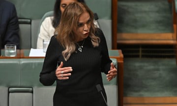 Minister for early childhood education Anne Aly during question time in Canberra parliament last week