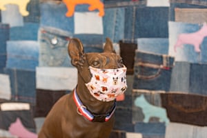 A French bulldog statue in Brisbane displays a homemade surgical mask to raise awareness of Covid-19 crisis.
