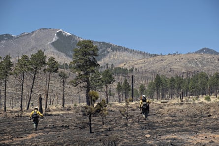 Resource advisers work to determine the severity of the Tunnel fire’s impact near Flagstaff, Arizona.