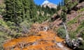 An orange-coloured river flows past pine trees on a mountain