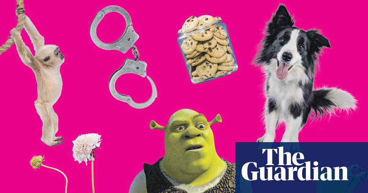From shrekking to cookie-jarring: how well do you know the latest dating terms?