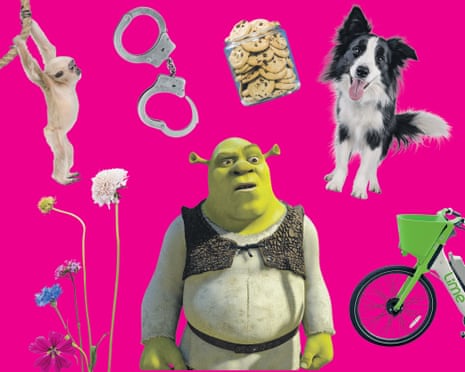 A composite image on a bright pink background showing Shrek in the middle, a monkey swinging from a rope, a cookie jar, a border collie, handcuffs and wildflowers.