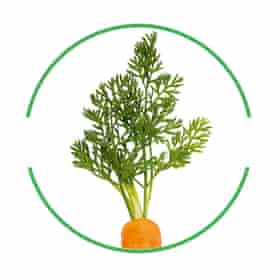 Carrot top cut-out inside green-rimmed circle