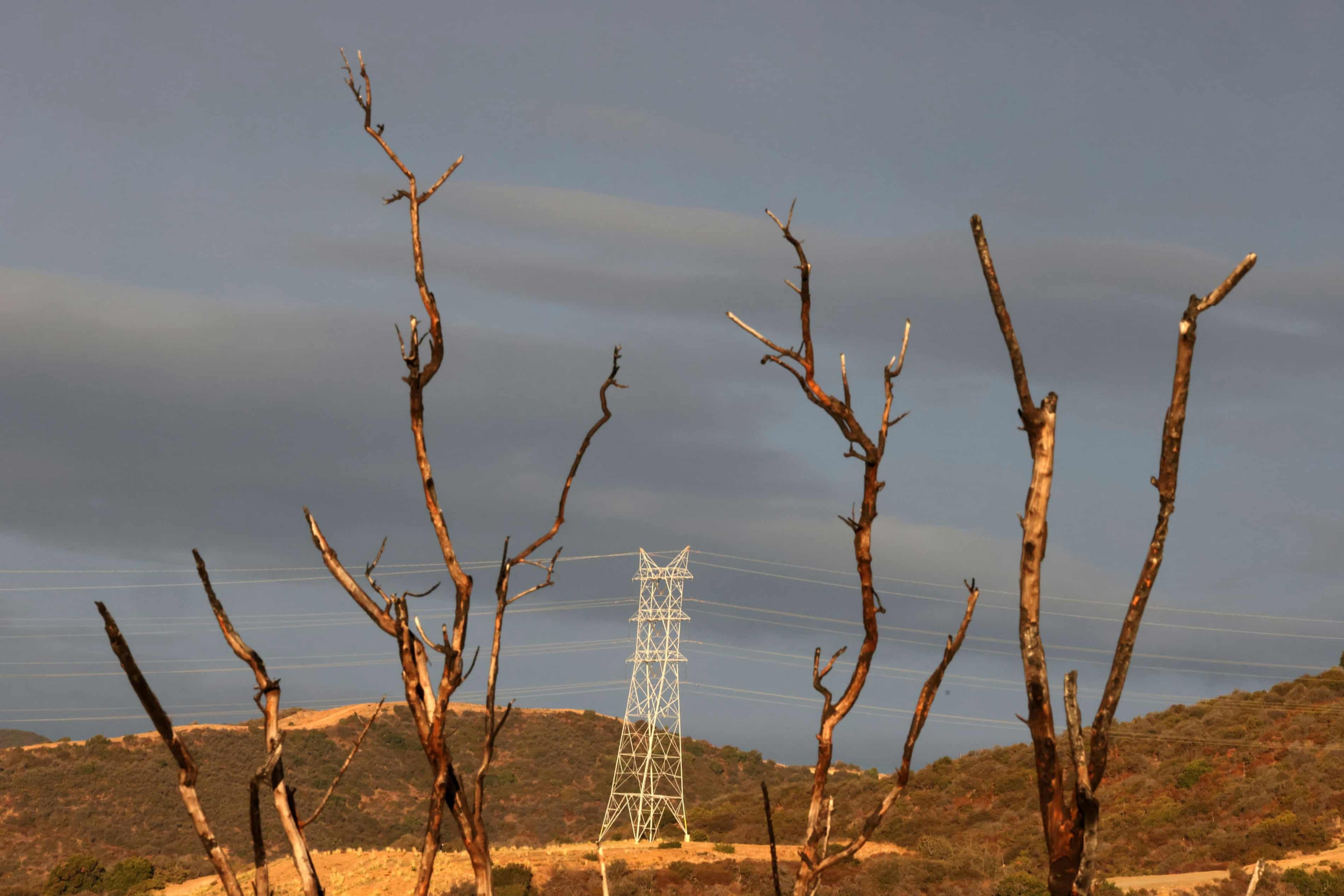 Sustainable! US power grid added battery equivalent of 20 nuclear reactors in past four years (theguardian.com)