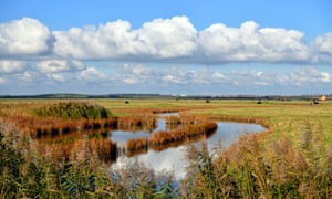 Typische Sumpflandschaft von Sheppey
