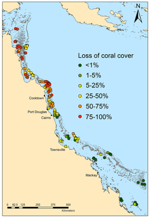 The loss of coral cover along the Great Barrier Reef in 2016