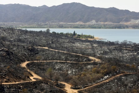 Charred trees show the extent of the damage caused by the fires