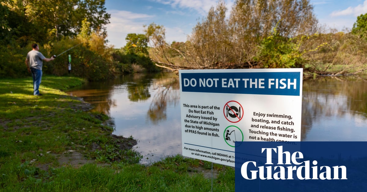 Freshwater fish more contaminated with forever chemicals than in oceans