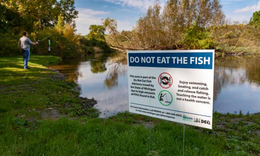 A motion warns anglers not to devour food from the Huron River due to the fact that of precocious levels of PFAS contamination.