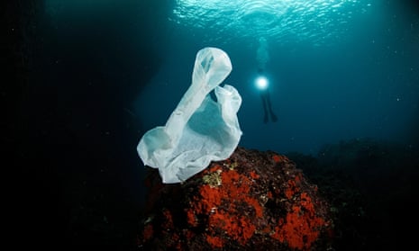 A plastic bag floats in a diving site