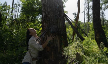 Environmentalist and politician Hanna Hopko looks at a badly damaged tree in a forest outside Chernihiv