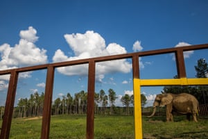 An elephant seen through bars at the Elephant Sanctuary.