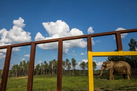 An elephant seen through bars at the Elephant Sanctuary.