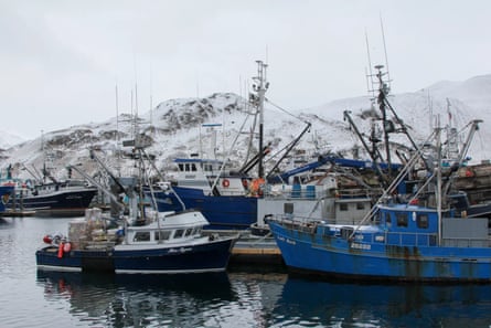 boats in a harbor with snow-covered mountains in the background