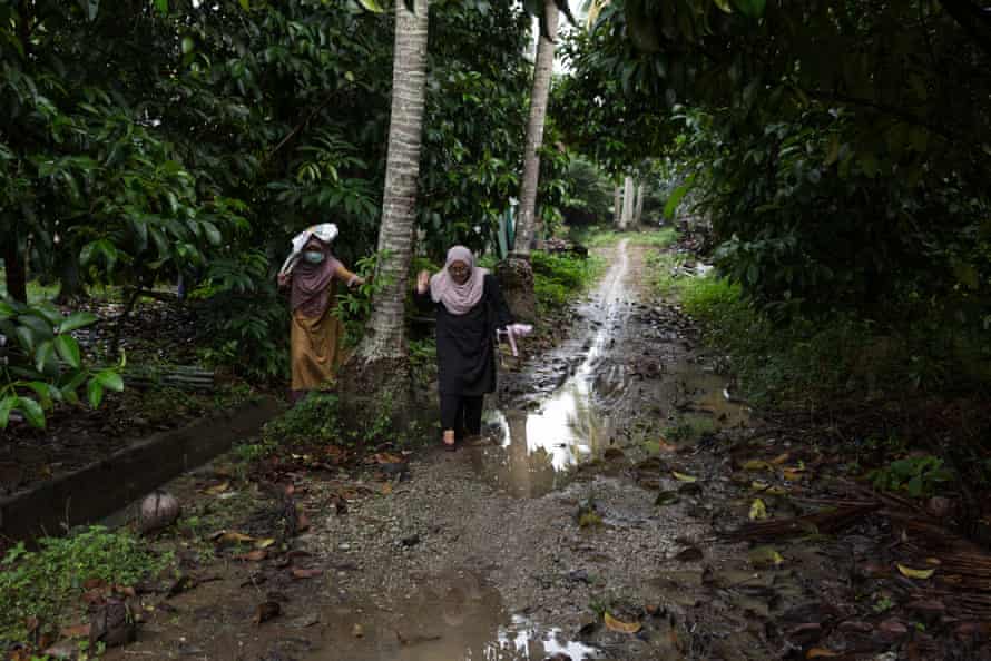 Two women in headscarves walk along a path in a jungle