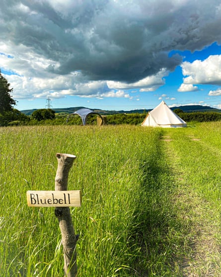 A field of long grass with a wooden sign reading ‘Bluebell’, and a path leading to a white tent.