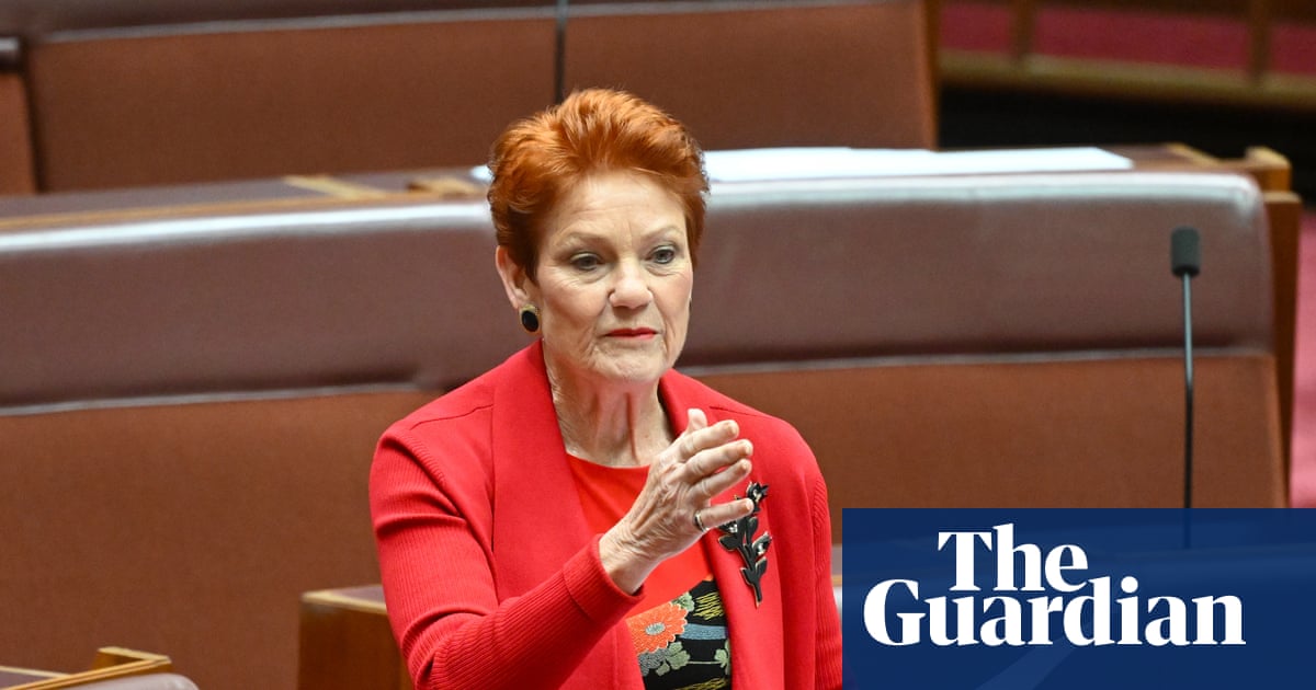 Pauline Hanson says parental leave will force small businesses to ‘fold’ – despite no law forcing employers to pay