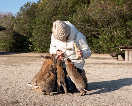 A woman in a white anorak and woolly hat kneels down as rabbits jump up to receive food from her hand.