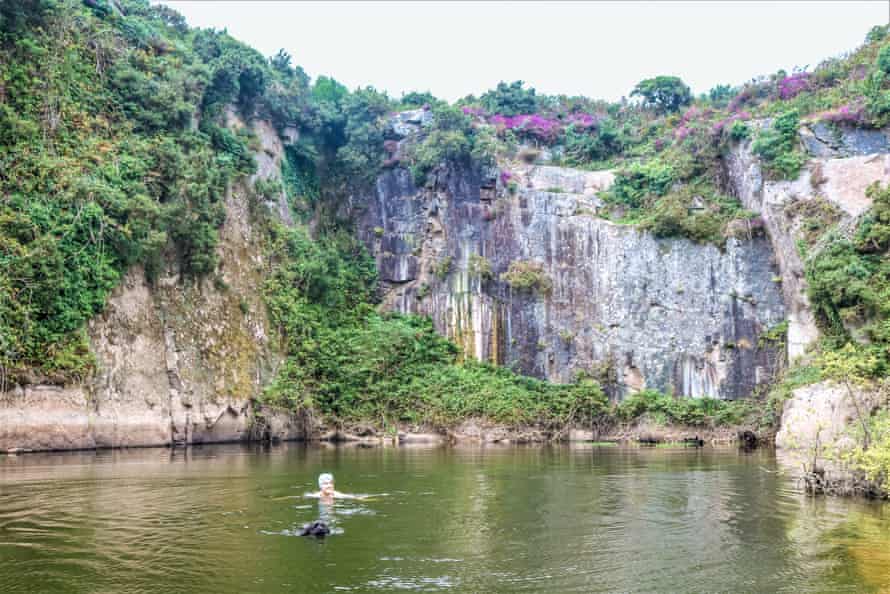 Quarry pool (cathedral pool) with swimmer and black dog. Carn Marth, near Redruth, Cornwall.