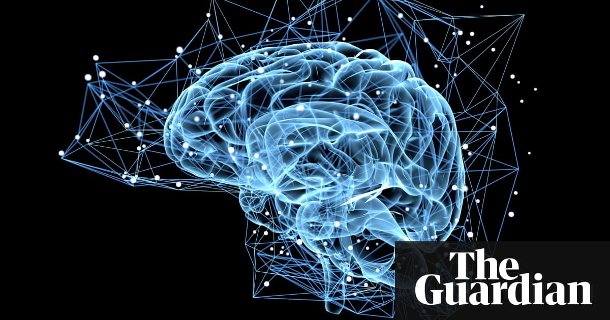 Humans produce new brain cells throughout their lives, say researchers