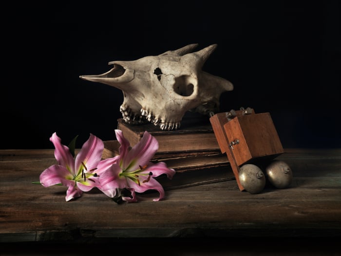 Last chance: memento mori images created with animal skulls | Environment | The Guardian Last chance: memento mori images created with animal skulls | Environment | The Guardian